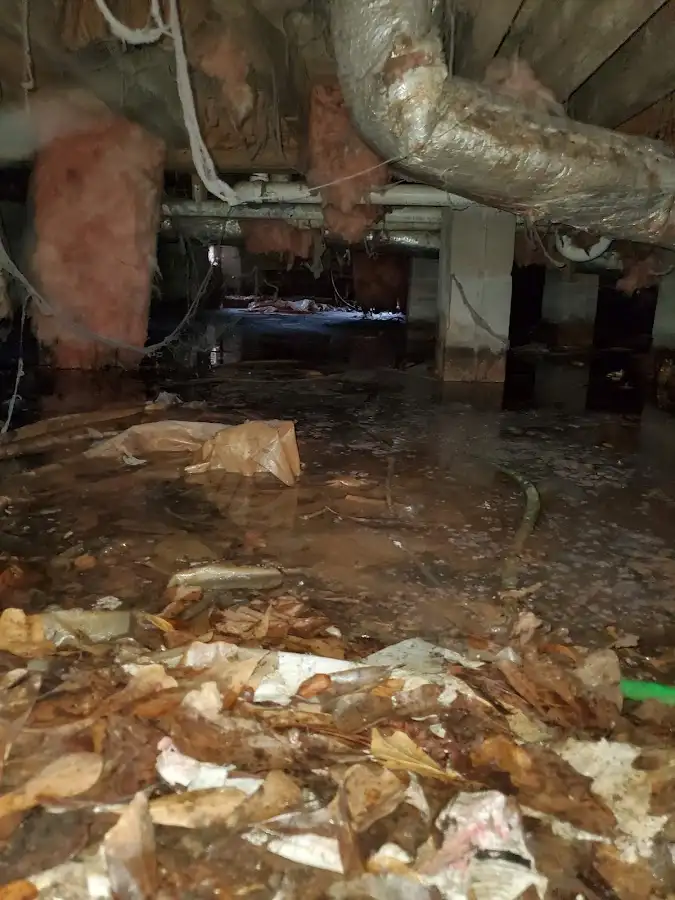 Crawl space flood assessment for Leak Detection & Repair in Belle Isle