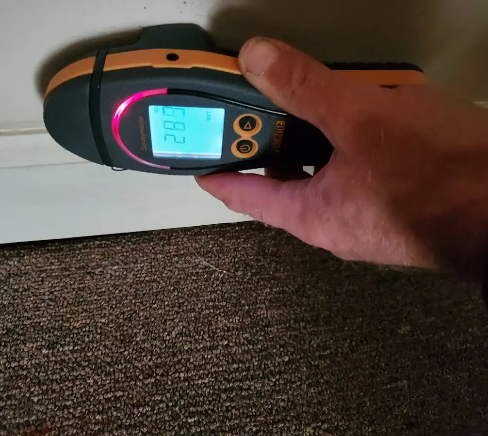 Moisture detection at baseboard during Sewage Cleanup & Sanitation in Belle Isle
